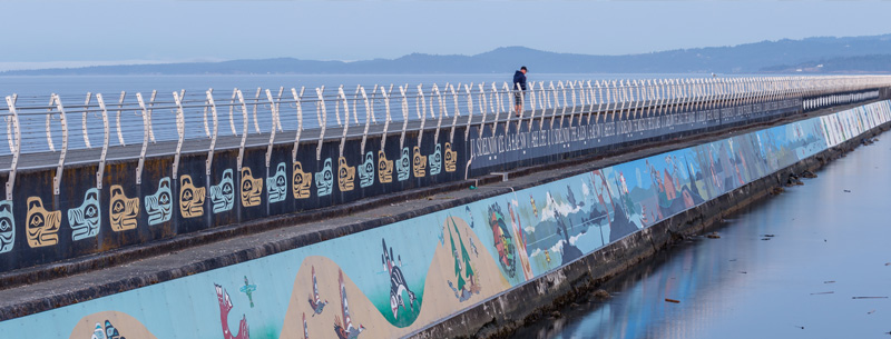 Ogden Point Breakwater