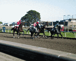 Humboldt County Fair