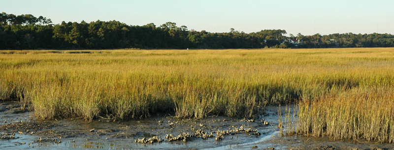 Huntington Beach State Park SC