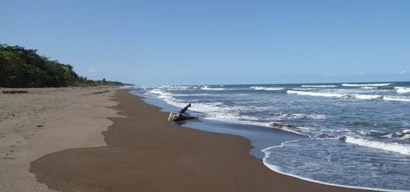 Tortuguero beach