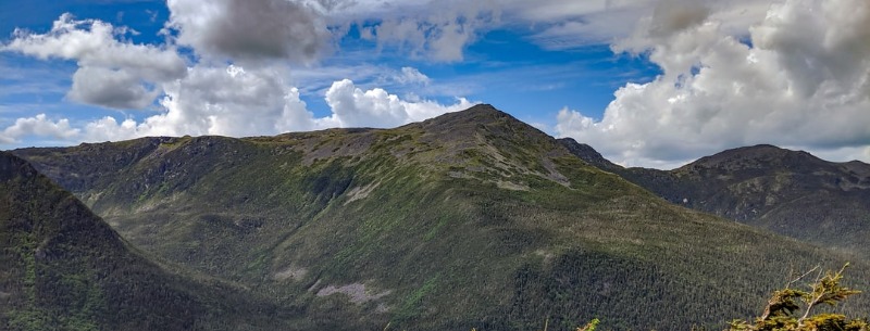 White Mountains