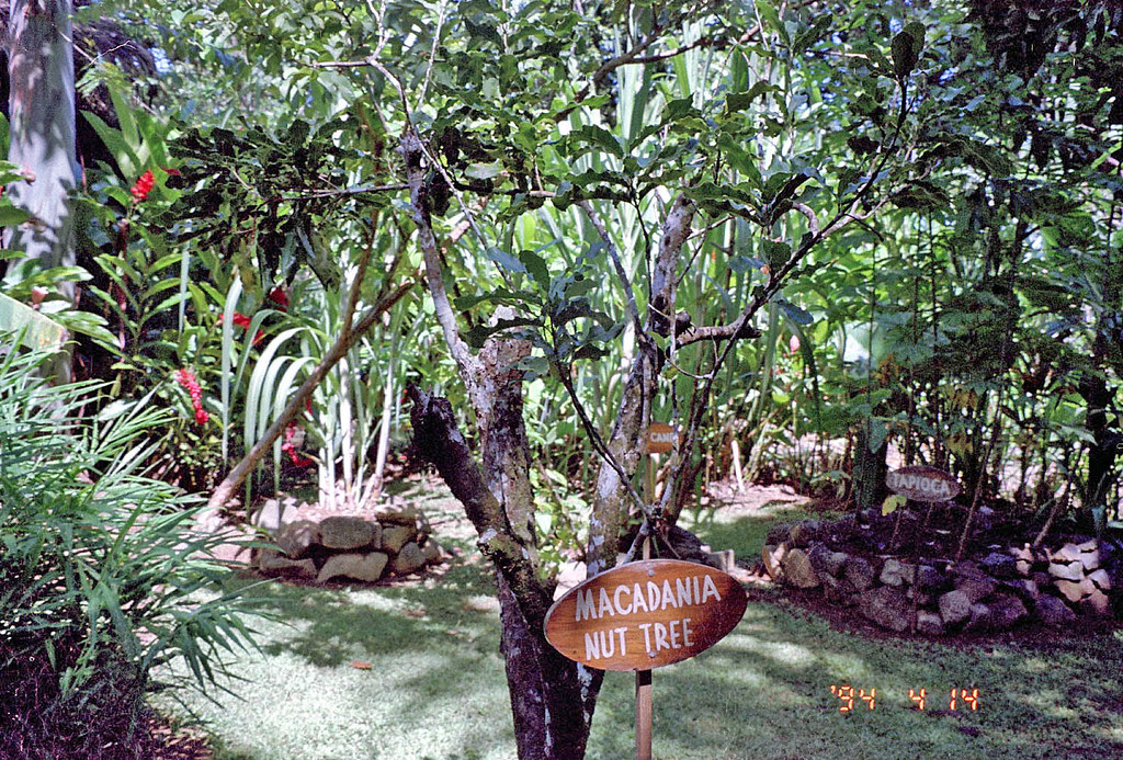 Orchid Island Suva, Fiji