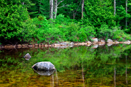 acadia national park