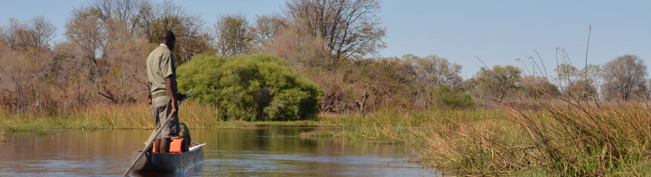 botswana guide