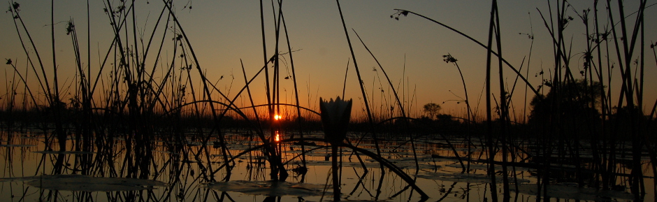 botswana sightseeing