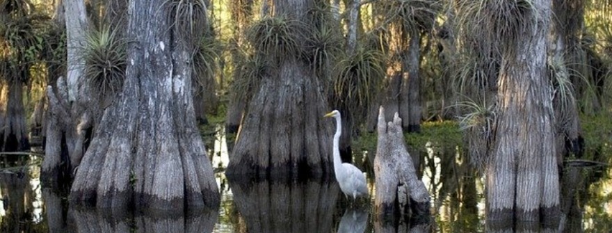 Florida National Parks