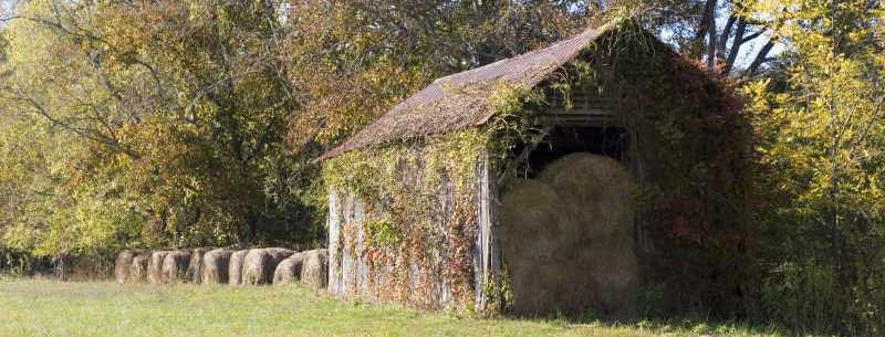 Georgia Scenic Byways