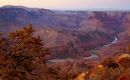 The Grand Canyon