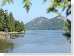 Jordan Pond Leaves