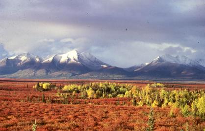 kobuk valley