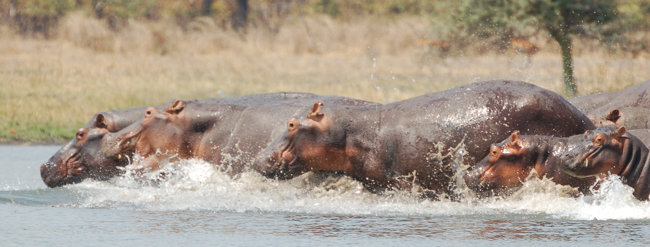 malawi attractions