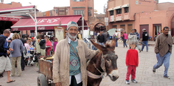 Journey Across the Atlas Mountains