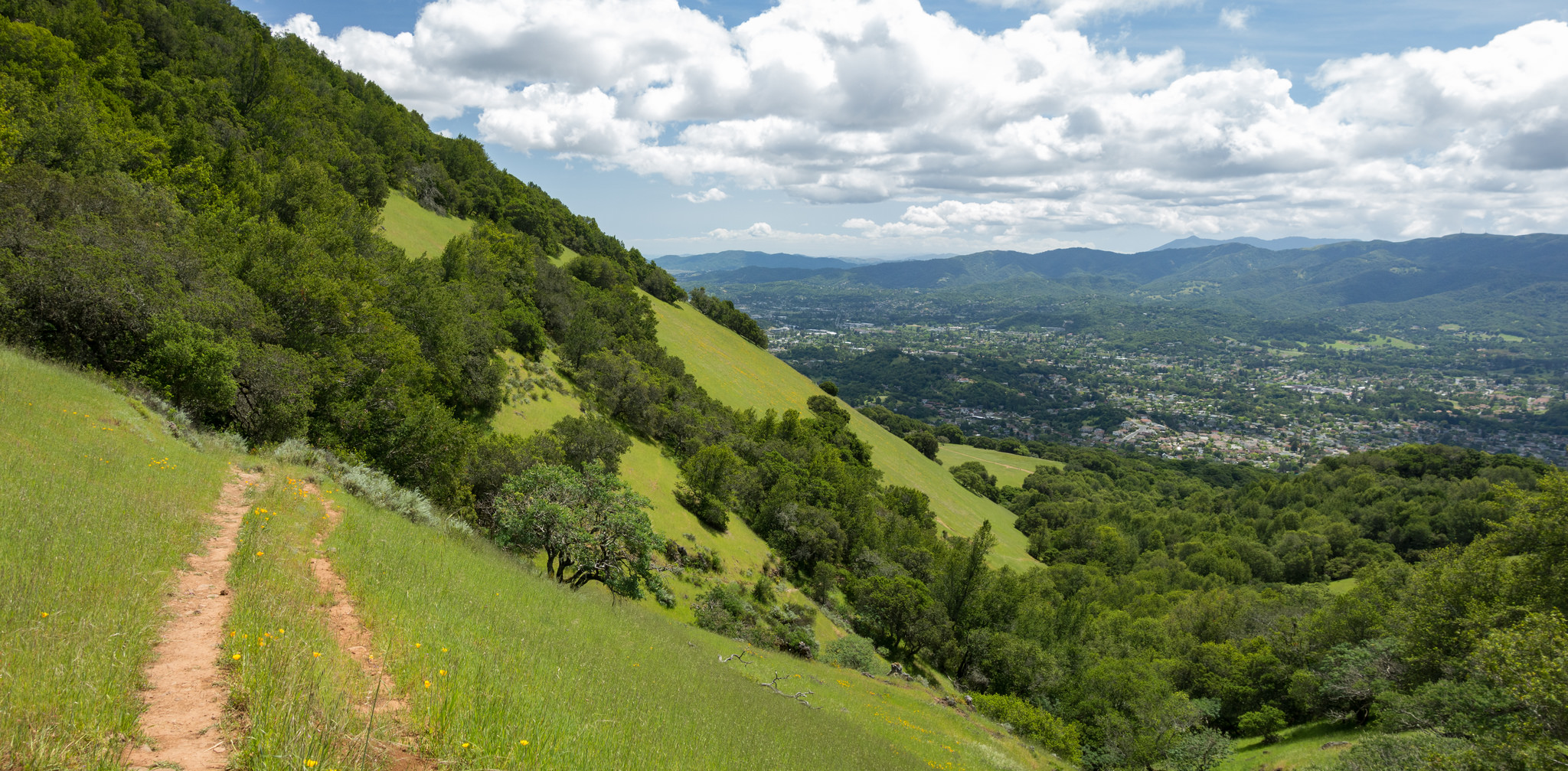 Mount Burdell California