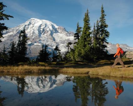 mount rainier