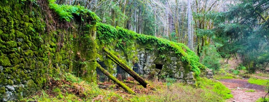 Redwood National Park