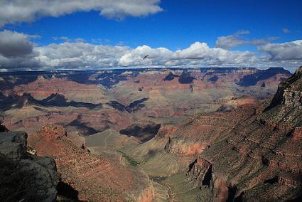 trailview overlook