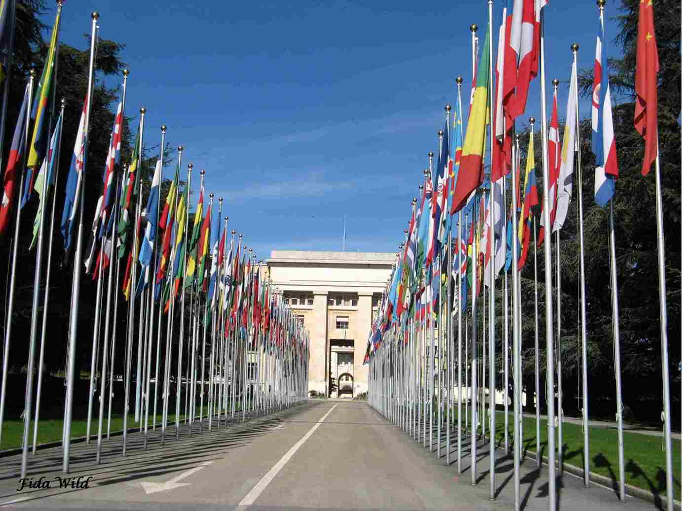 Ottawa Treaty United Nations Geneva