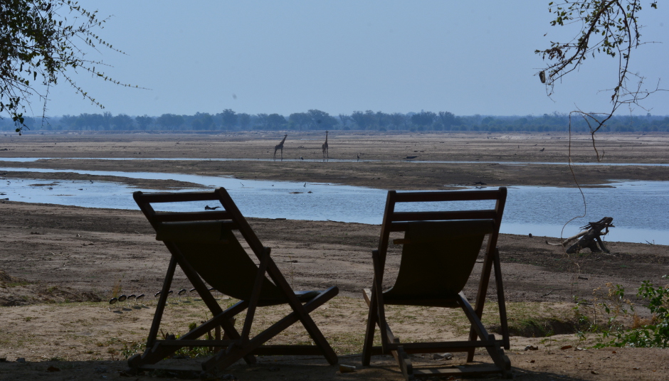 zambia chairs