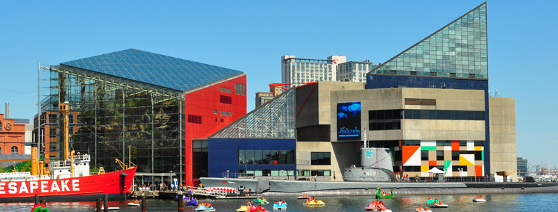 National Aquarium in Baltimore, Maryland