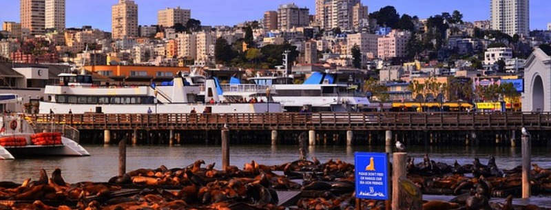 Pier 39, San Francisco, California