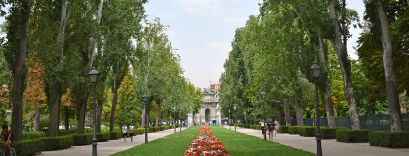 Top Things To Do in Madrid