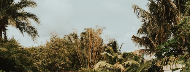 Bahamas National Parks