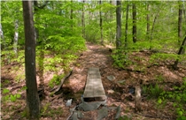 Laurel Highlands Hiking