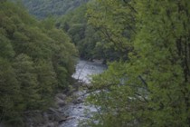 Ohiopyle Hiking