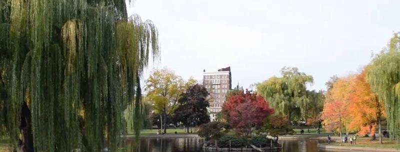 Boston Common and Public Garden