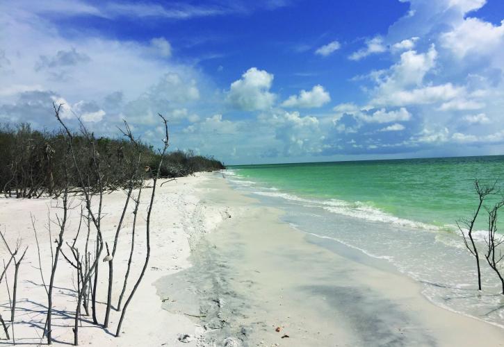 Caladesi Island State Park | Florida State Parks