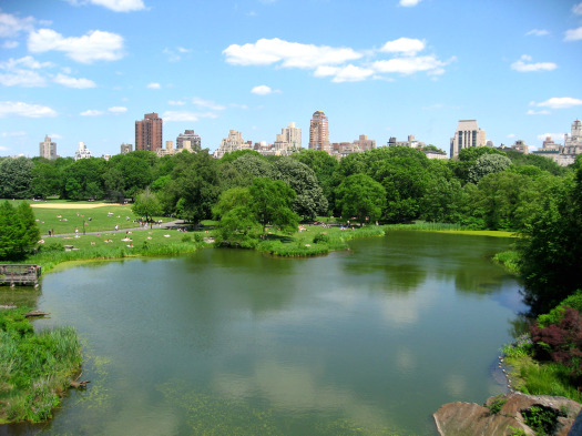 https://freefun.guide/wp-content/uploads/2020/05/central-park-new-york.jpg