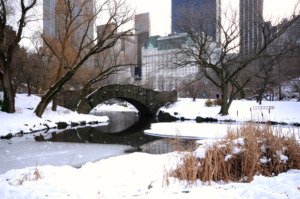 Winter in Central Park