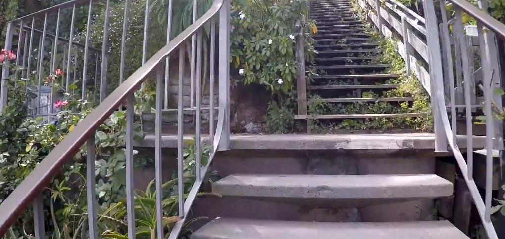 Climbing the Filbert Steps to Coit Tower 