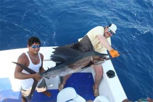 https://freefun.guide/wp-content/uploads/2020/05/cozumel-fishing.jpg