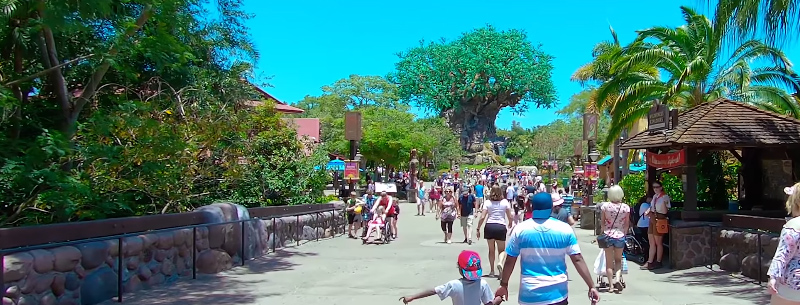 Disney's Animal Kingdom Orlando, Florida | Full Complete Walkthrough Tour