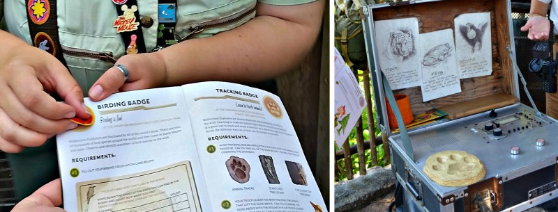 Disneys Animal Kingdom Wilderness Explorers program