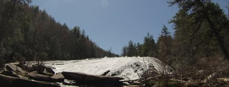 DuPont Forest