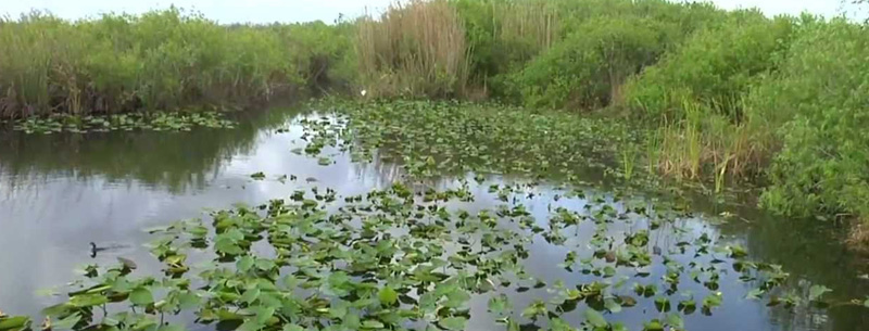 Everglades National Park