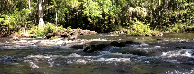 Florida State Parks in the Tampa Area