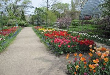 Garfield Park Conservatory