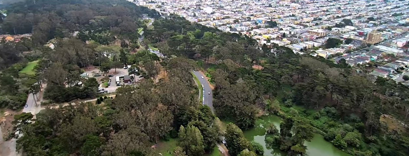 golden gate park 