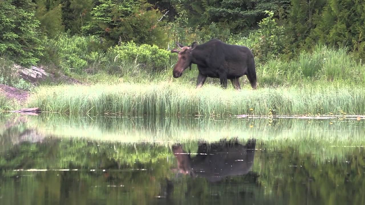 Isle Royale National Park