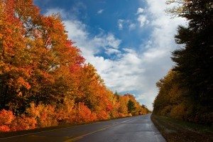 michigan fall colors