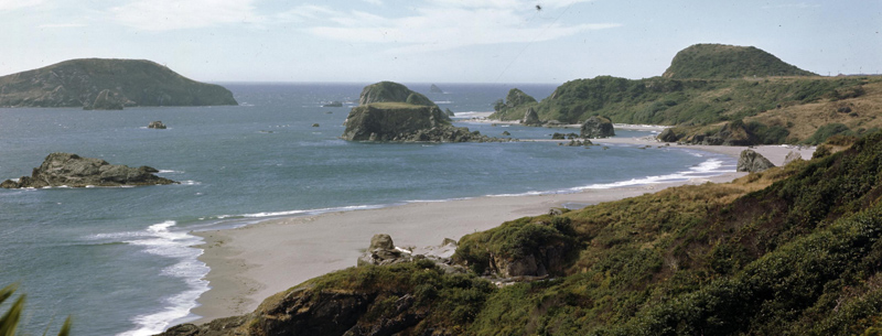 Pacific Ocean Beach - Oregon Coast