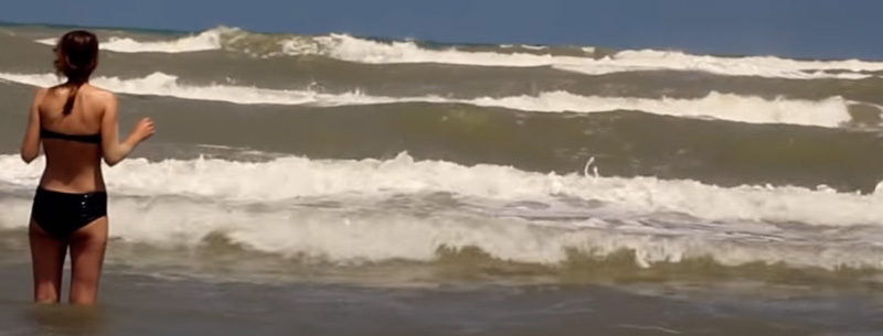 Padre Island National Seashore