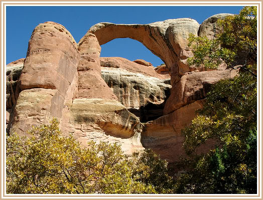 Ring Arch