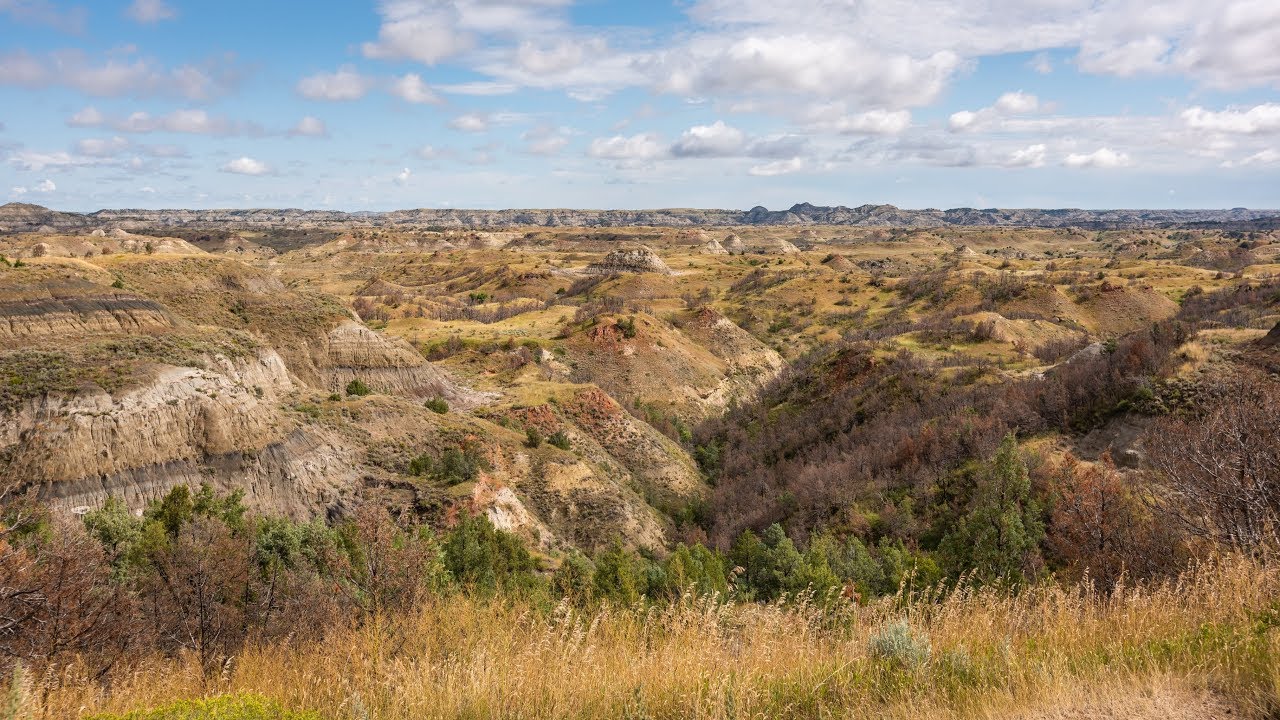 Theodore Roosevelt National Park