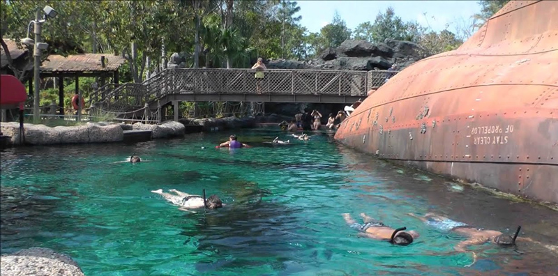 Typhoon Lagoon Shark Reef