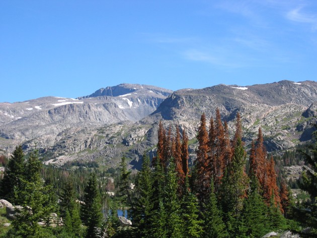 Cloud Peak and Bomber Mountain