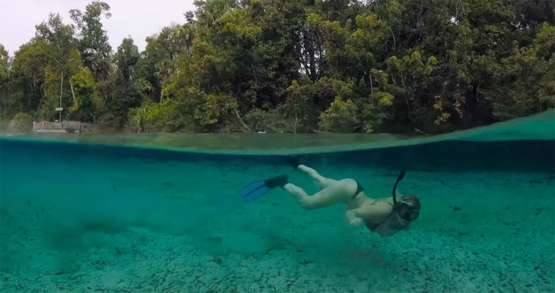 Alexander Springs in Florida